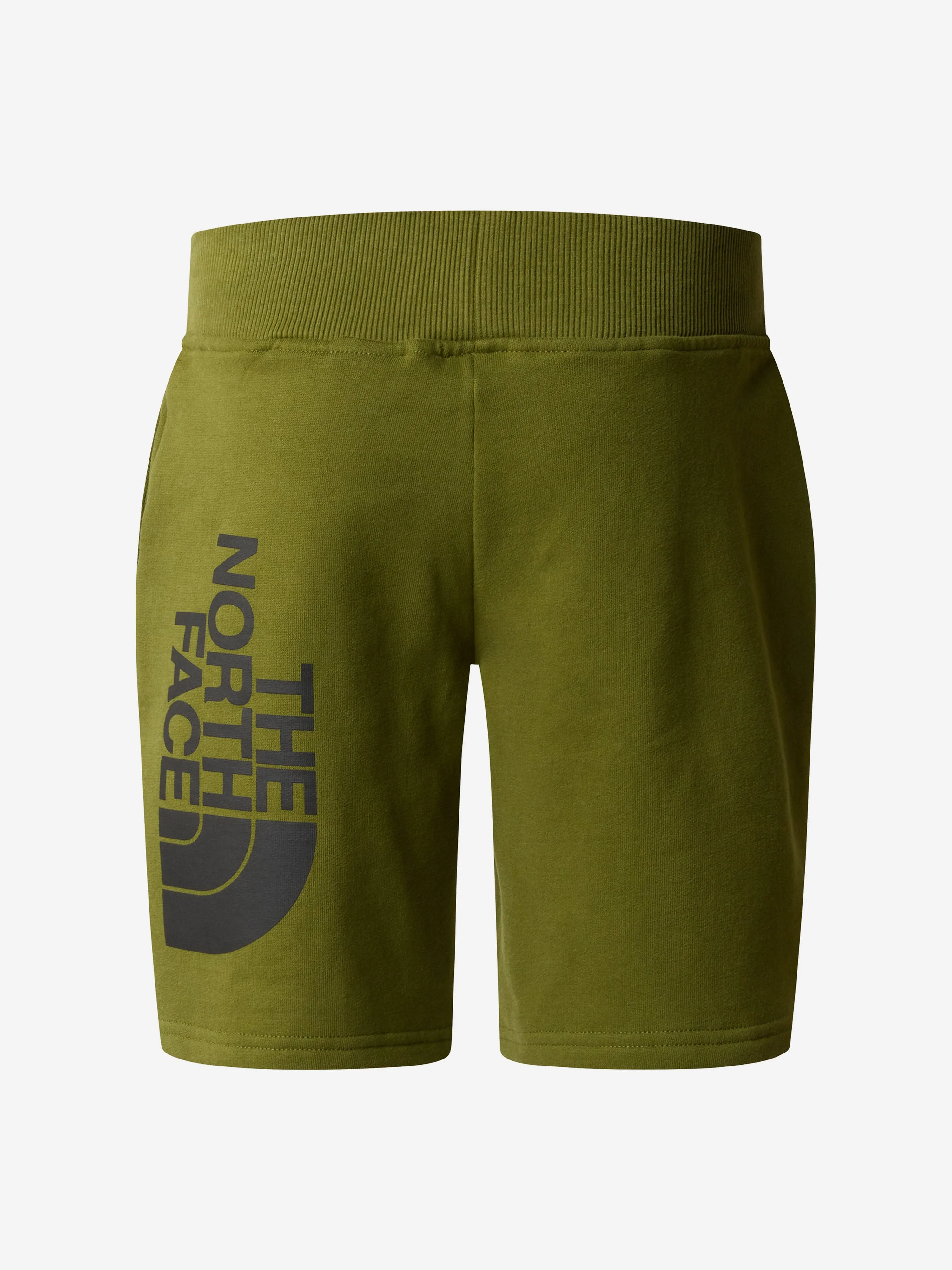 The North Face Boys Cotton Shorts in Green